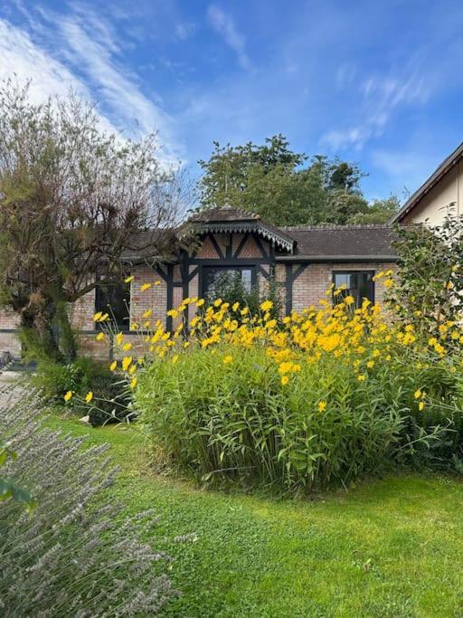 Les Cottages De Carine 圣马塞尔 外观 照片